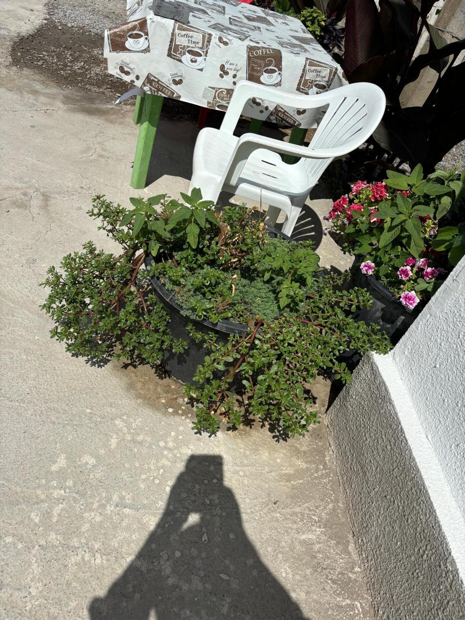 Hostel,Halal Хостел,Халал Tokmok Exteriör bild