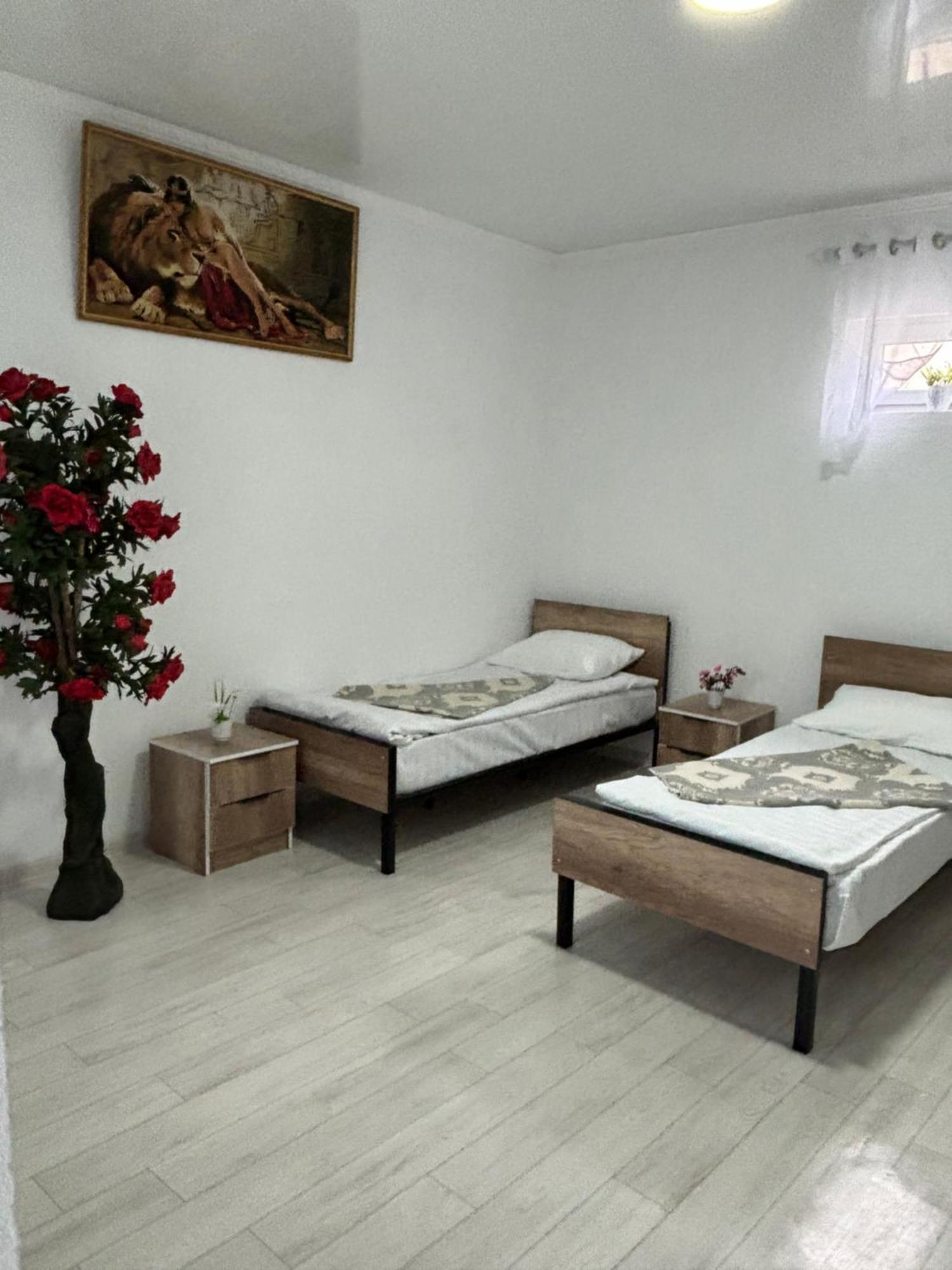 Hostel,Halal Хостел,Халал Tokmok Exteriör bild